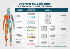 ЧЭНС-01-Скэнар-М в Пересвете купить Медицинская техника - denasosteo.ru 