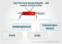 ЧЭНС-01-Скэнар-М в Пересвете купить Медицинская техника - denasosteo.ru 