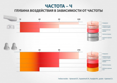 ЧЭНС-01-Скэнар в Пересвете купить Медицинская техника - denasosteo.ru 