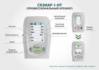 СКЭНАР-1-НТ (исполнение 02.2) Скэнар Оптима в Пересвете купить Медицинская техника - denasosteo.ru 