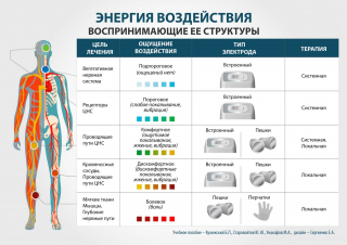 СКЭНАР-1-НТ (исполнение 01)  в Пересвете купить Медицинская техника - denasosteo.ru 