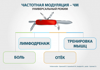 СКЭНАР-1-НТ (исполнение 02.2) Скэнар Оптима в Пересвете купить Медицинская техника - denasosteo.ru 