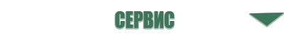 Дэнас Вертебра 02